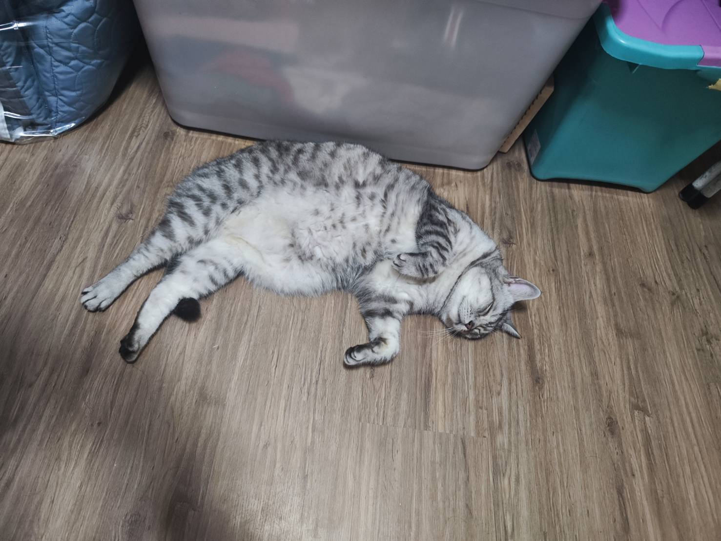 Test 1